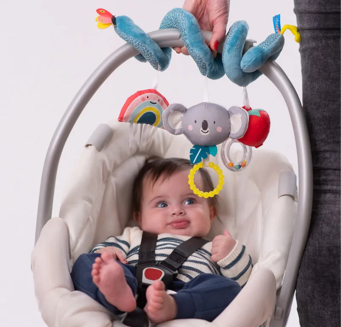 Koala spiral