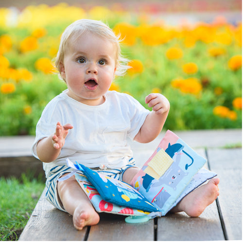 كتاب ماذا يرتدي بول القماش