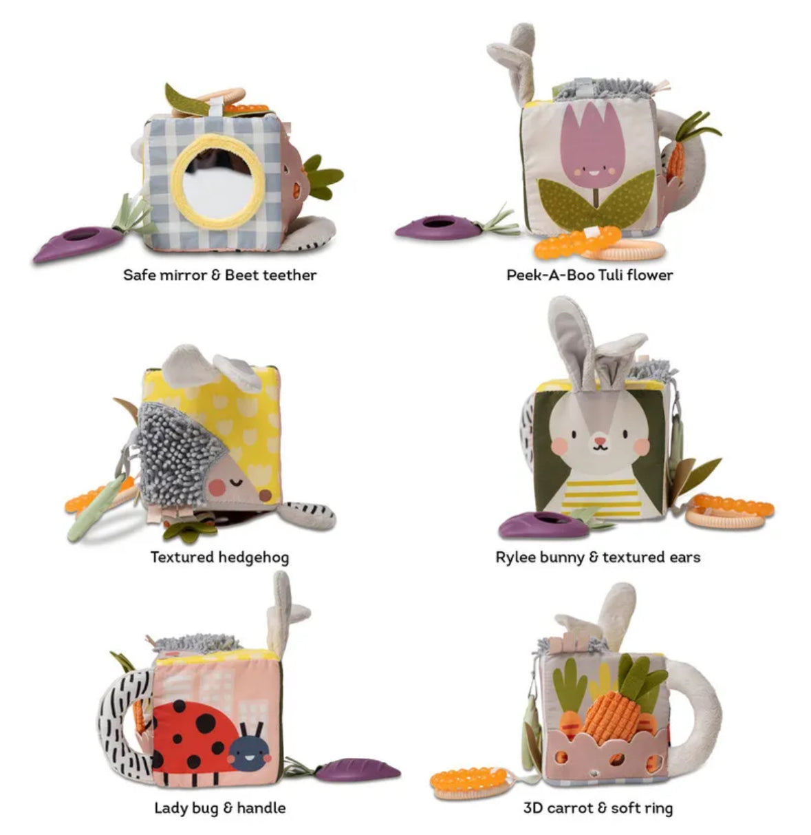 Urban garden activity cube