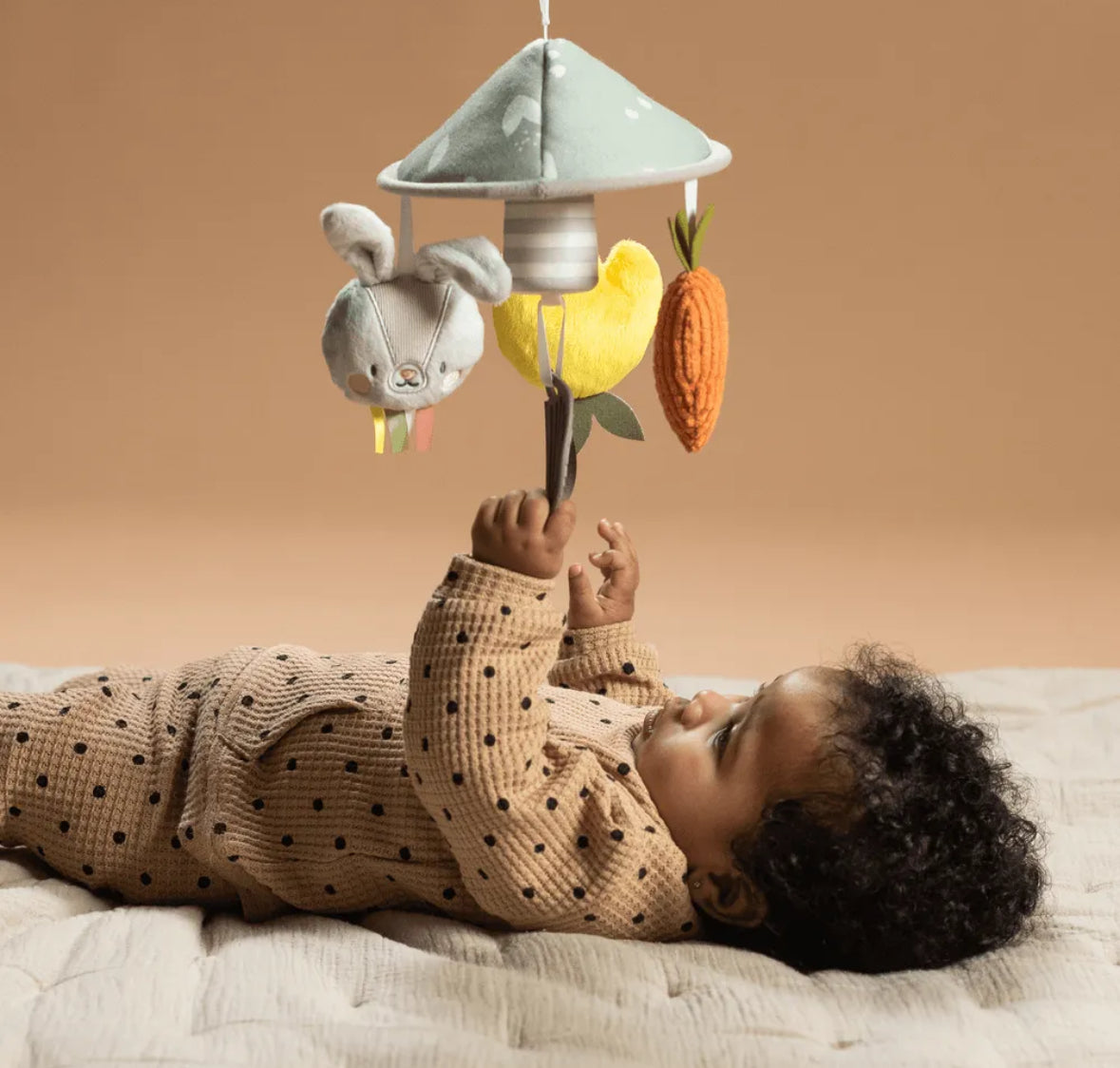 Garden pram mobile crib and stroller toy