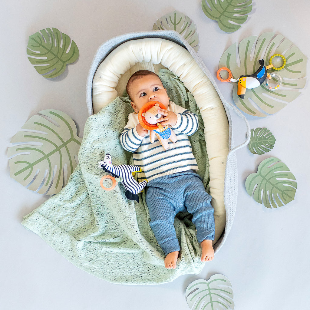 مشبك هاري الأسد على خشخيشة