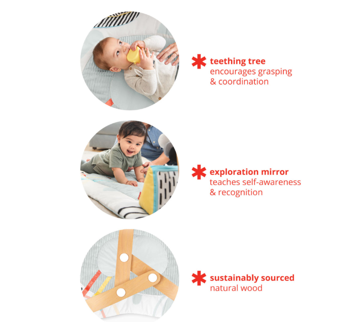 صالة الألعاب الرياضية ديسكوفيروسيتي