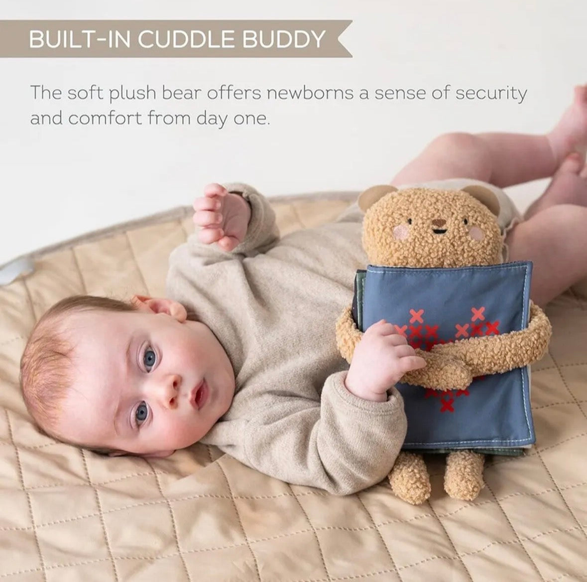 Snuggle bear activity book