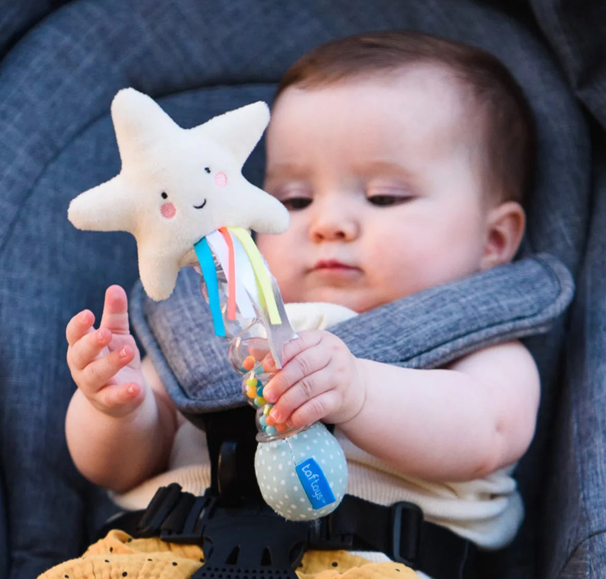 Star rainstick musical rattle