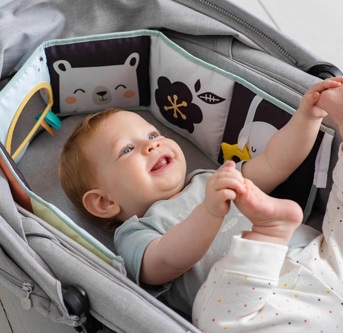 كتاب أنشطة القطب الشمالي ذو الوجهين