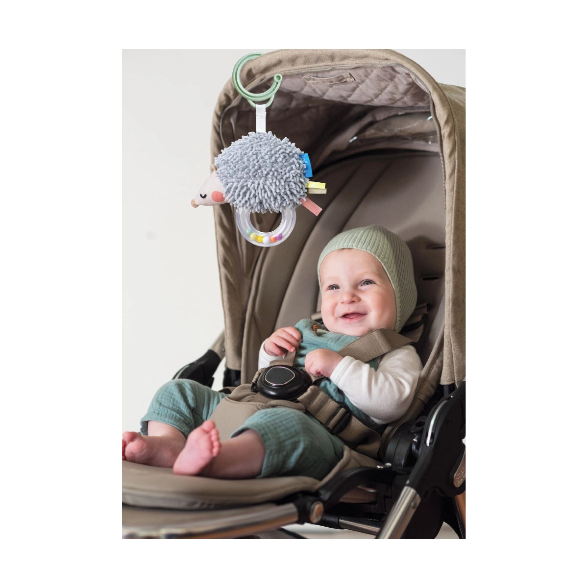 Spike hedgehog rattle