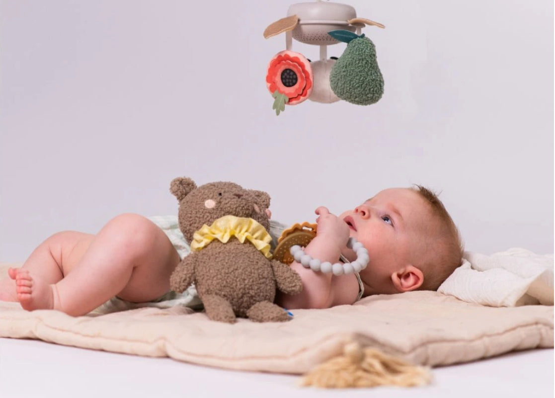 Luxury music mobile newborn kit