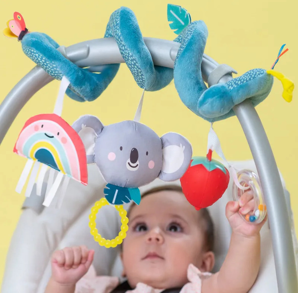 Koala spiral