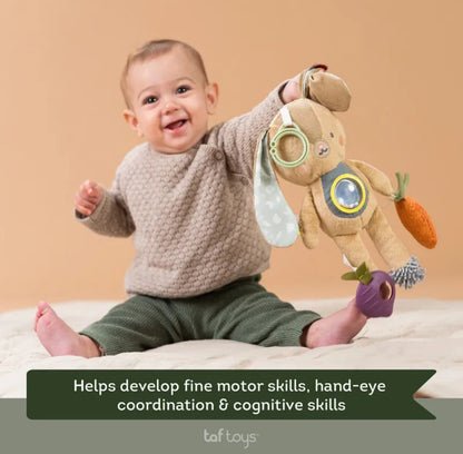 Jenny activity toy