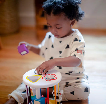 Zen & Cals playground activity toy