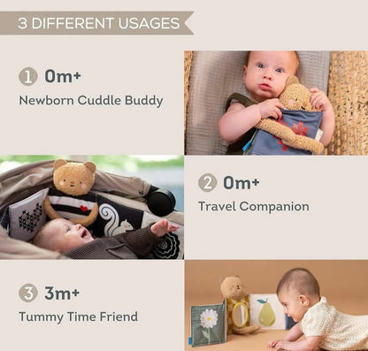 Snuggle bear activity book