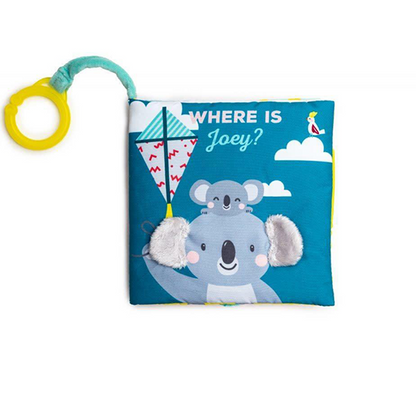 Where is joy ?