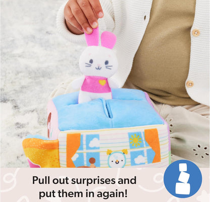 Ms.Rachel surprise learning box