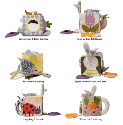 Urban garden activity cube