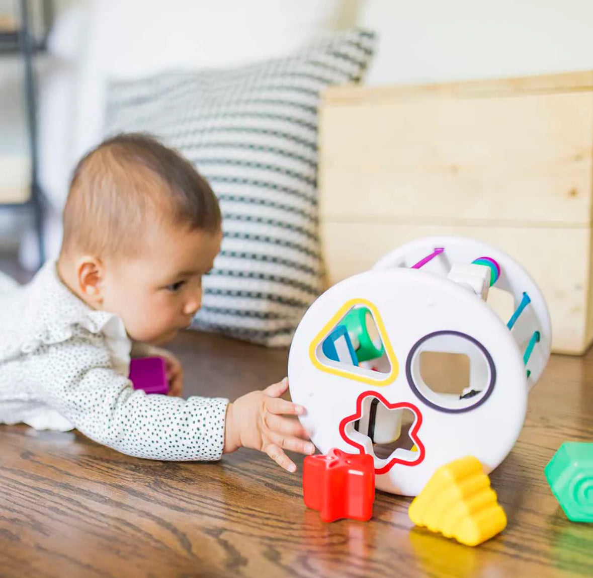Zen & Cals playground activity toy