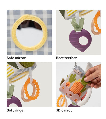 Urban garden activity cube