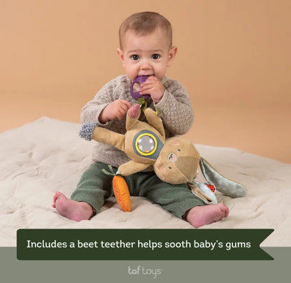 Jenny activity toy