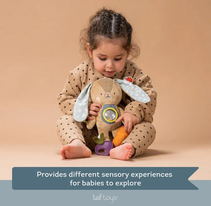 Jenny activity toy