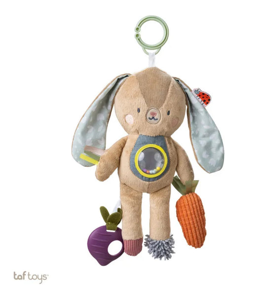 Jenny activity toy