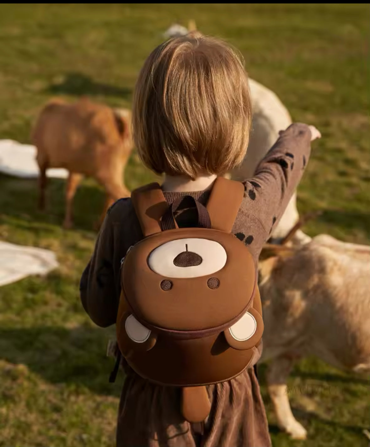 3D backpack / bear